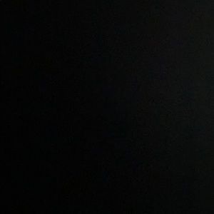 Meet your Posher, Griffin